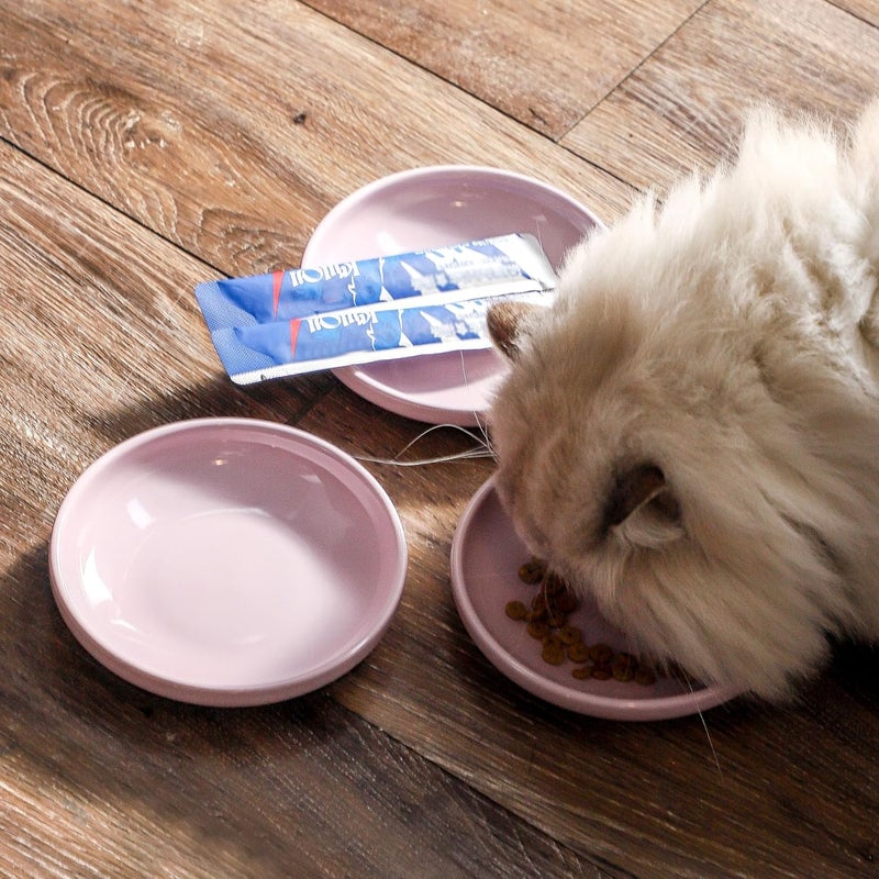 Howise 3 PCS Ceramic Cat Bowls, 5.5 in Pet Bowl Cat Dishes for Food and Water, Small Dog Dish(Purple) - Image 5